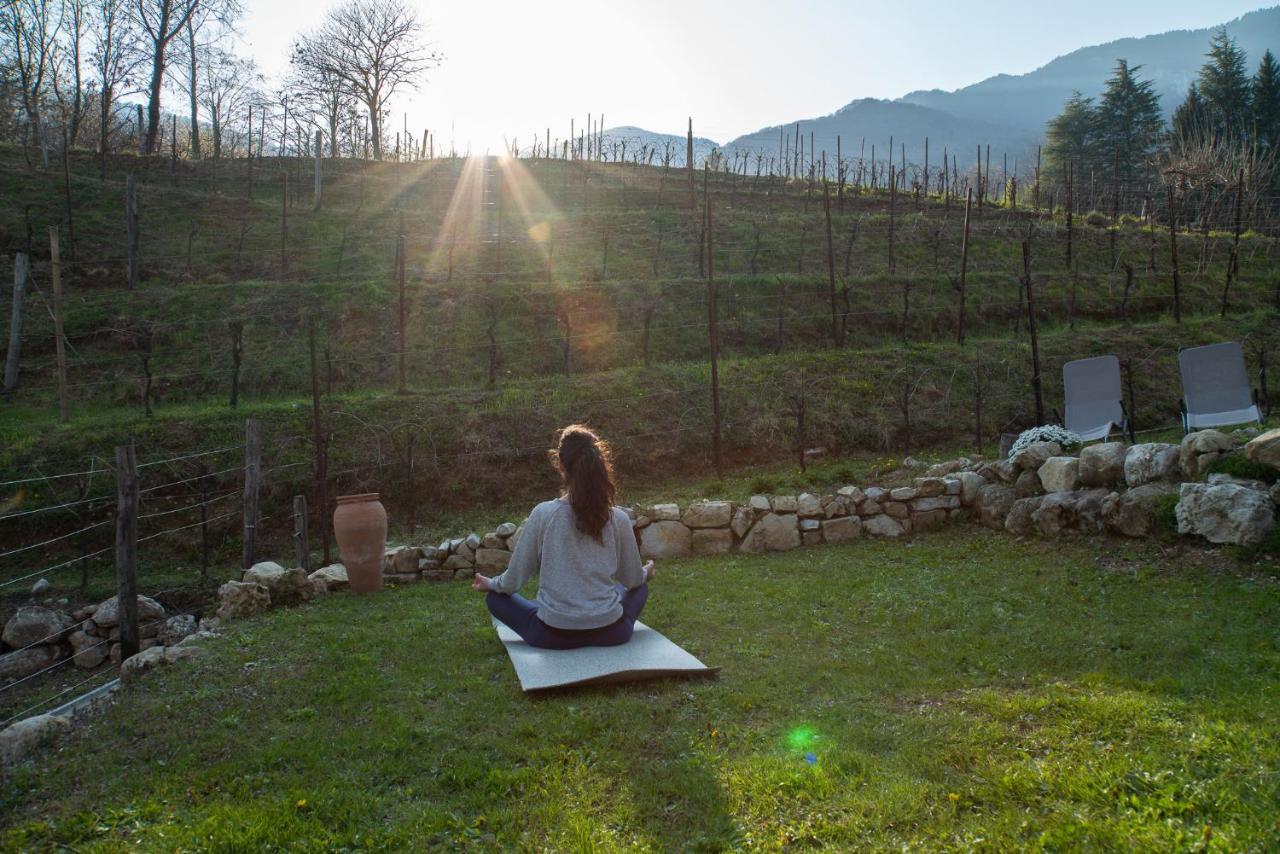 Agriturismo Podere Del Bosc Valmareno Екстериор снимка