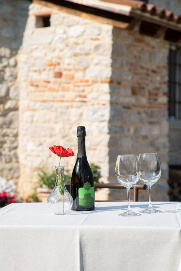 Agriturismo Podere Del Bosc Valmareno Екстериор снимка