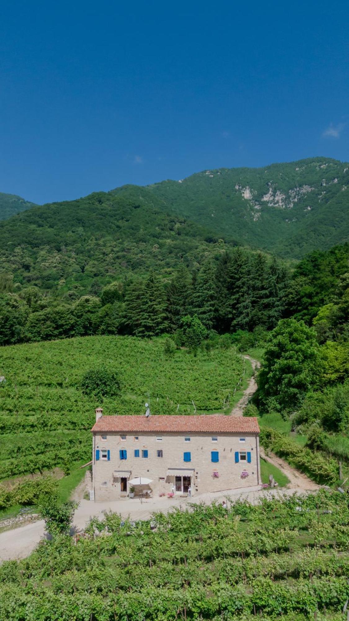 Agriturismo Podere Del Bosc Valmareno Екстериор снимка