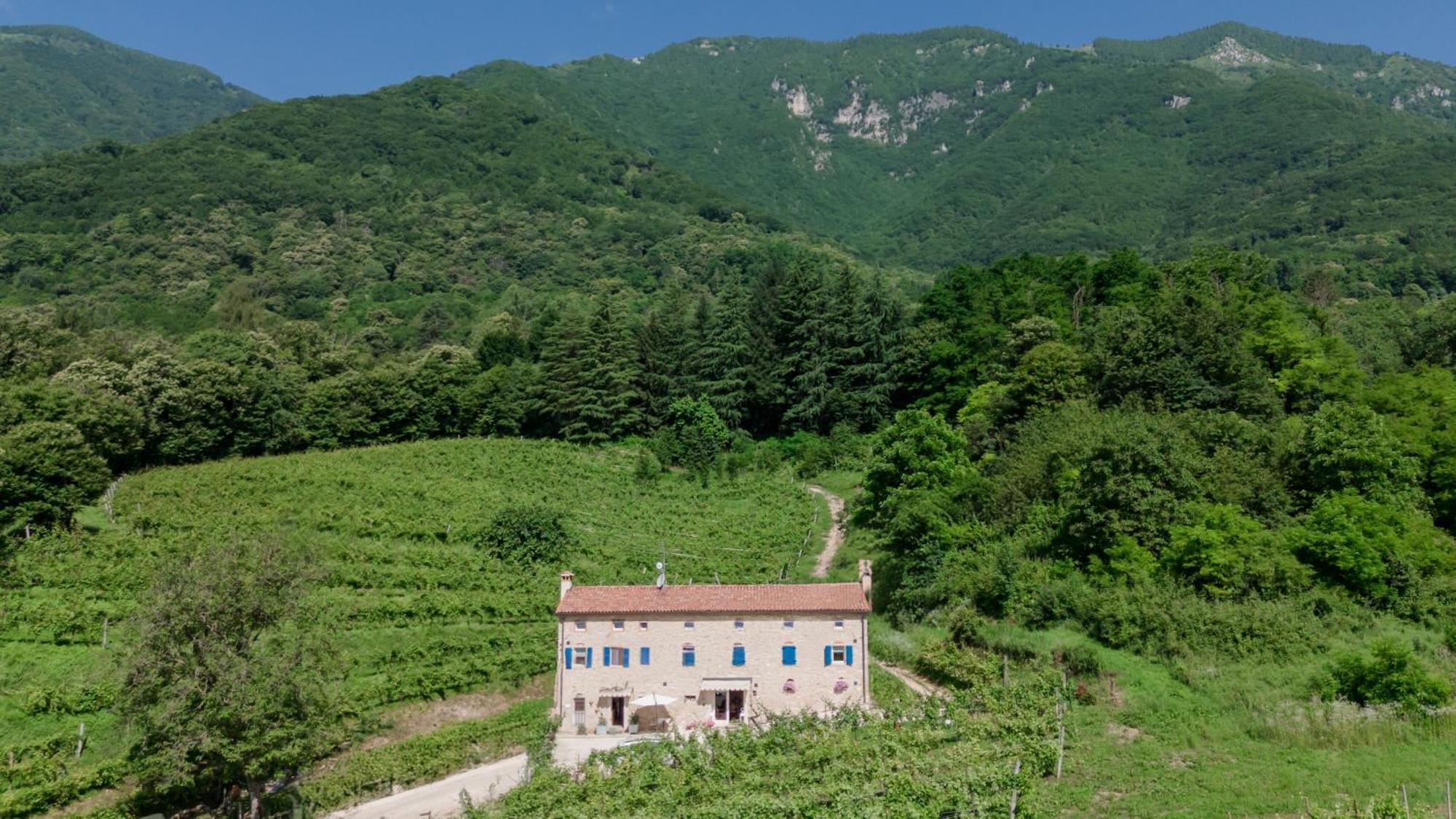 Agriturismo Podere Del Bosc Valmareno Екстериор снимка