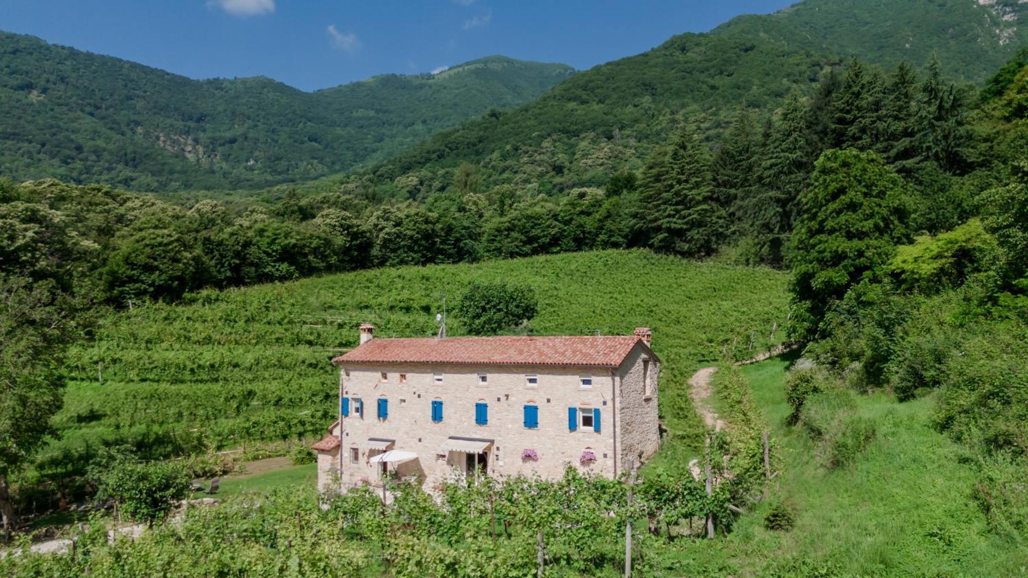 Agriturismo Podere Del Bosc Valmareno Екстериор снимка